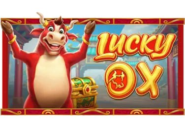5x sports Live Casino